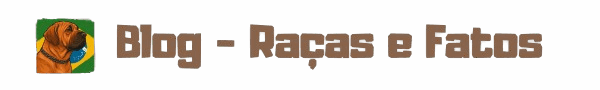 Raças e Fatos